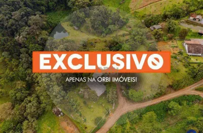 Sítio com 5 dormitórios à venda, 47.000,00 m² por r$ 650.000 - rio rosina - rio dos cedros/santa catarina | orbi imóveis