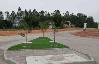 Terreno à venda, 1955 m² por r$ 1.368.668,00 - figueira - gaspar/sc