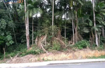 Terreno à venda, 3665 m² por r$ 1.200.000,00 - salto do norte - blumenau/sc