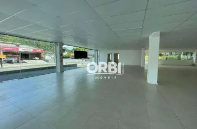 Loja para alugar, 1462 m² por r$ 50.060/mês - ponta aguda - blumenau/sc