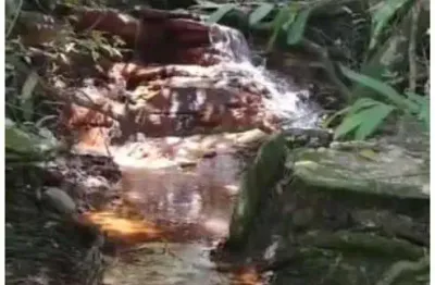 Terreno para venda em cocalzinho de goiás, zona rural, 9 dormitórios, 3 suítes, 3 banheiros, 30 vagas