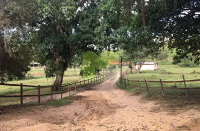 Chácara / sítio com 6 quartos à venda na Rua Barão de Mauá, Centro, Casimiro de Abreu