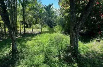 Chácara à venda em silva jardim/rj - bairro fazenda brasil - 7.200 m²