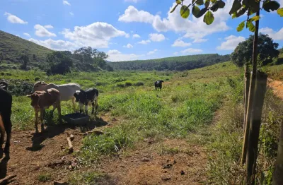 Terreno à venda na Zona Rural, Periquito 