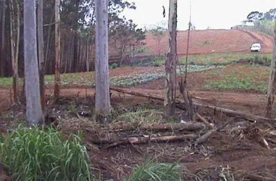 Chácara / sítio com 1 quarto à venda no sousas, campinas , 100 m2 por r$ 1.400.000