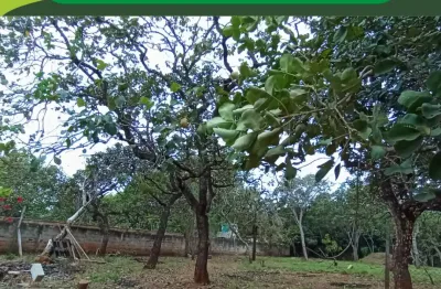 Chácara no bairro recanto do igarapé - 1.000m² - parcialmente murada