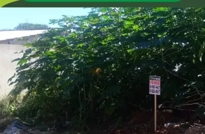 Lote no bairro novo igarapé- murado de 03 lados - escritura registrada