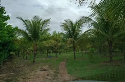 Chácara com 104 metros beira de rio  à venda, 50000 m² por r$ 1.300.000 - zona rural - cuiabá/mt