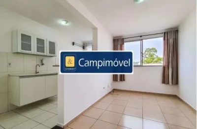 Apartamento para venda em campinas, jardim nova europa, 2 dormitórios, 1 banheiro, 1 vaga