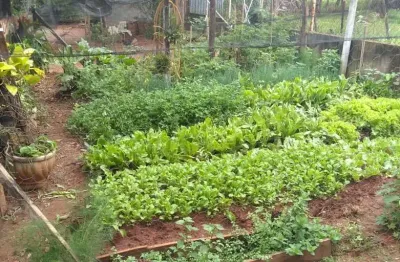 Chácara / sítio com 3 quartos à venda na rua professor argante dimenco, bom recreio, americana por r$ 570.000