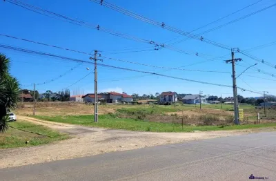 Terreno à venda na avenida ernesto geisel, colonia witmarsum, palmeira por r$ 350.000