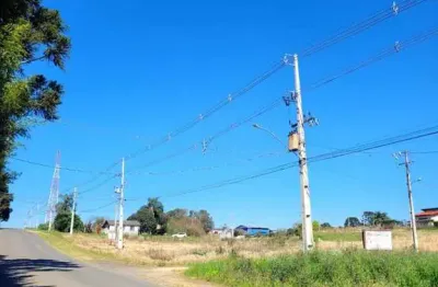Terreno à venda na avenida presidente ernesto geisel lote 10, colonia witmarsum, palmeira por r$ 320.000