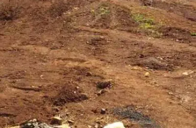 Terreno à venda na Avenida Joaquim Sônego, Campos Ville, Araraquara