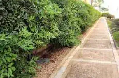 Apartamento com 2 dormitórios à venda, 47 m² por r$ 150.000,00 - vila xavier (vila xavier) - araraquara/sp