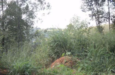 Terreno à venda, 20000 m² por r$ 1.425.000,00 - bairro cachoeira - vinhedo/sp