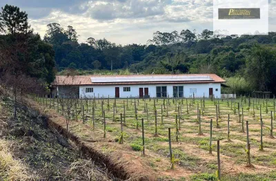 Chácara com 30 dormitórios à venda, 46434 m² por r$ 12.000.000,00 - capuava - valinhos/sp