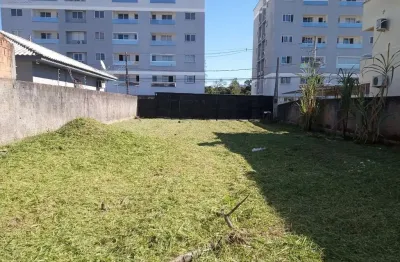 Terreno à venda na Rua Giovanni Pisano, Aririu, Palhoça