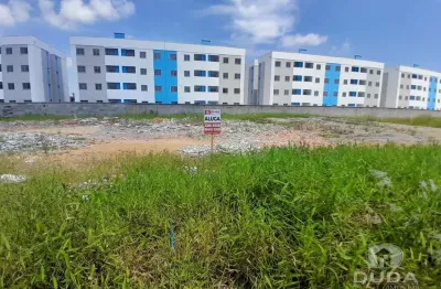 Terreno comercial para alugar na Rua João Carlos Espíndola, Nova Palhoça, Palhoça