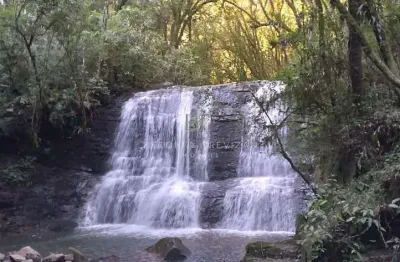 Ótima chácara em galópolis aceito carro e imovel de menor valor
