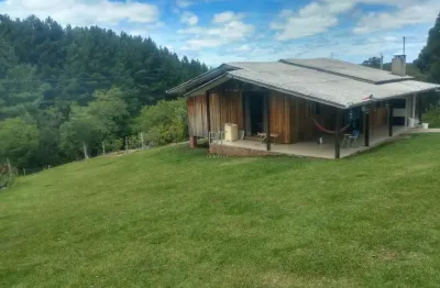 Chácara com 5,4 hectares produtivos  em são francisco de paula