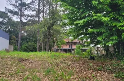 Terreno à venda na Ana Rech, Caxias do Sul 