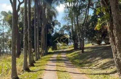 Imóvel rural em bragança paulista com estrutura completa, acesso asfaltado, poço semi-artesiano e alto potencial de valorização.