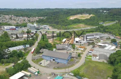 Área com 6.200 m² -   barracão - galpão - deposito - campo magro