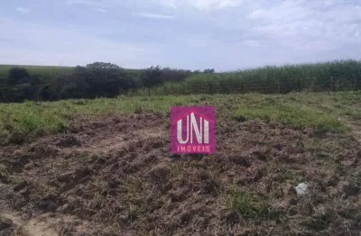 Terreno à venda, 5.000 m² por r$ 0 - palmital - porto feliz/sp