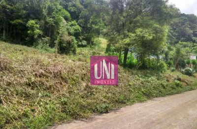 Terreno à venda, 7911 m² por r$ 290.000,00 - chácara santa rita (ouro fino paulista) - ribeirão pires/sp