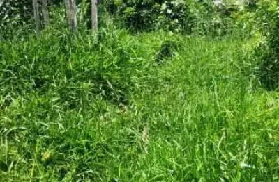 Terreno à venda no Ipiranga, Sapucaia do Sul 