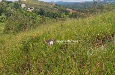 Área à venda, 26000 m² por r$ 1.300.000,00 - santa ella - araçariguama/sp