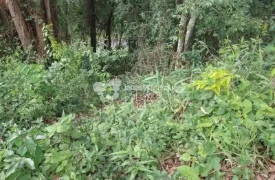 Terreno à venda, 10805 m² por R$ 3.240.000,00 - Ecoville - Araçariguama/SP