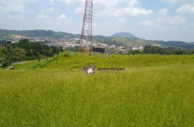 Área à venda, 40000 m² por r$ 12.765.960,00 - aracariguama - araçariguama/sp