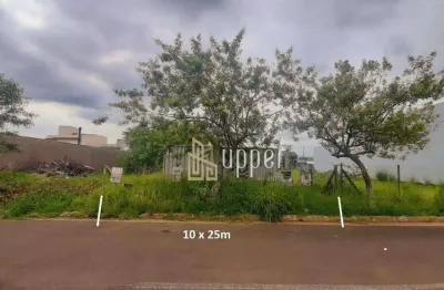 Terreno à venda, 250 m² por r$ 260.000,00 - vale ville - gravataí/rs
