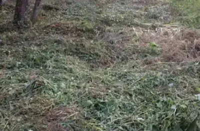 Terreno à venda em ubatumirim, ubatuba  por r$ 450.000