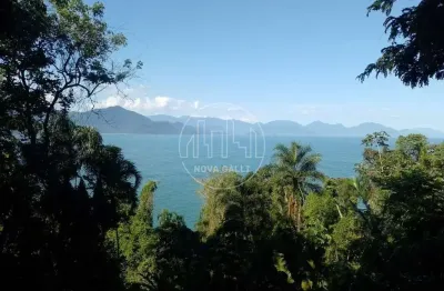 Casa com 4 quartos à venda em ponta grossa, ubatuba  por r$ 2.350.000