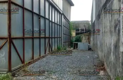 Galpão na rua evolução - vila brasilina  -  são paulo