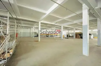 Barracão / Galpão / Depósito para alugar na Rua Francisco Pedroso de Toledo, --, Vila Liviero, São Paulo
