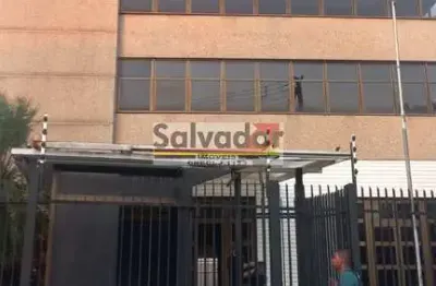 Ponto comercial para alugar na Avenida Santa Catarina, --, Vila Mascote, São Paulo