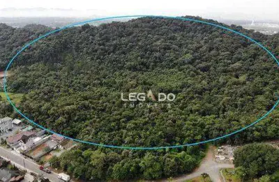 Terreno à venda, 101.000 mil m² por r$ 3.000.000 - centro (pirabeiraba) - joinville/sc