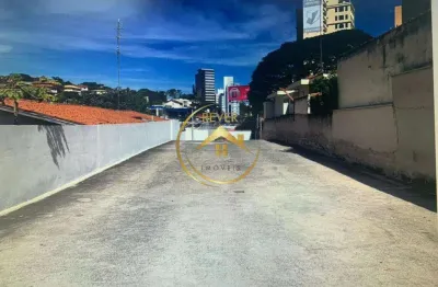 Terreno para alugar em campinas, cambuí, com 447 m²