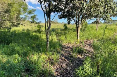 Terreno comercial à venda na estrada velha da guaricana, 000, zona rural, são josé dos pinhais, 4800 m2 por r$ 350.000