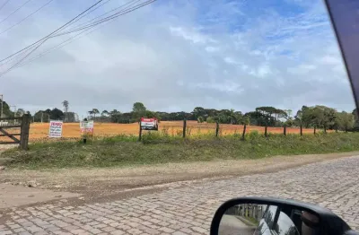 Chácara / sítio à venda na rua rosa lass rattmann, 000, zona rural, são josé dos pinhais por r$ 11.434.900
