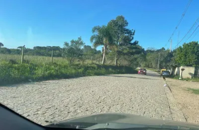 Terreno comercial à venda na rua antônio singer, 00, campo largo da roseira, são josé dos pinhais, 20 m2 por r$ 800.000