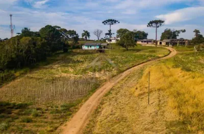 Terreno à venda na rodovia 367, 000, zona rural, são josé dos pinhais, 84000 m2 por r$ 12.000.000