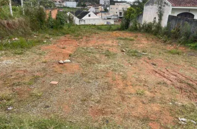 Terreno comercial à venda na rua josé zen, bom jesus, são josé dos pinhais por r$ 1.000.000