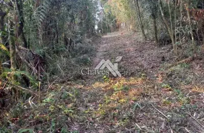Terreno à venda na br376, matulão, tijucas do sul por r$ 130.000