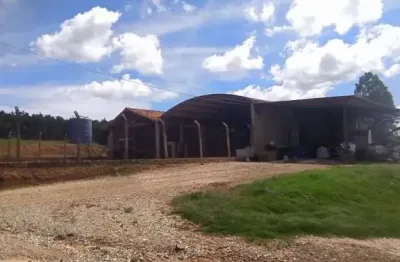 Fazenda com 1 dormitório à venda, 2710400 m² por r$ 32.000.000 - matão - buri/são paulo