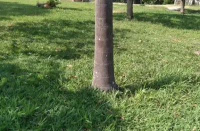 Chácara com 3 dormitórios à venda, 4740 m² por r$ 550.000,00 - convívio reconquista - salto/sp