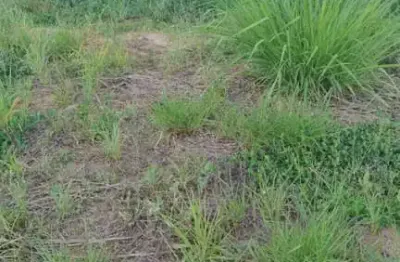 Terreno à venda, 314 m² por r$ 400.000,00 - condomínio jardim siena - indaiatuba/sp